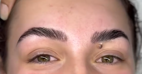 Laminated and shaped brows